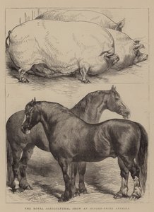 Kuninkaallinen maatalousnäyttely Oxfordissa, Prize Animals